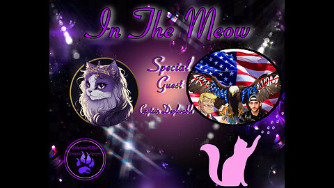 In The Meow | With Special Guest Shawn Farash