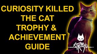 Curiosity Killed the Cat - Stray - Trophy / Achievement Guide