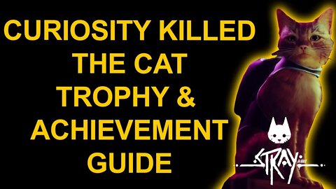 Curiosity Killed the Cat - Stray - Trophy / Achievement Guide