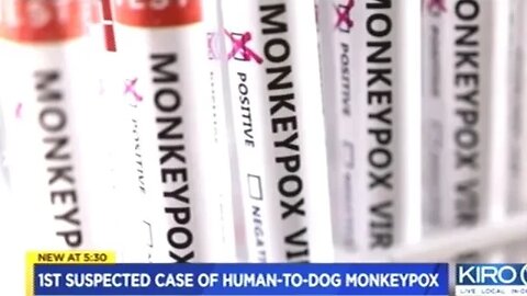 Owners Spread Monkeypox To Their Dog!