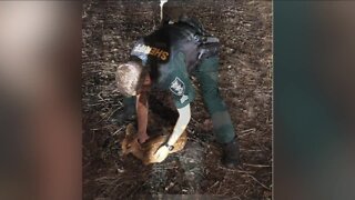 LCSO sergeant rescues injured deer