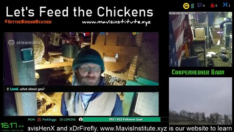 Shadow App, Virus Update and EMF : Let's Feed the Chickens : Ep 46 :