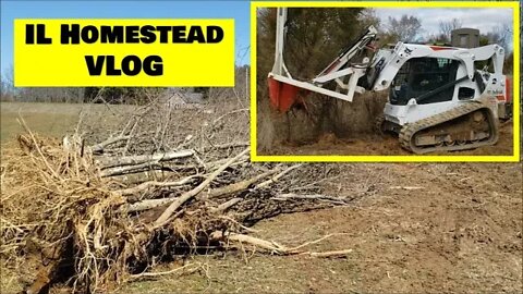 IL HOMESTEAD VLOG; Land clearing update and peek at spading trees