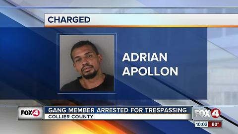 Gang Member Arrested for Trespassing