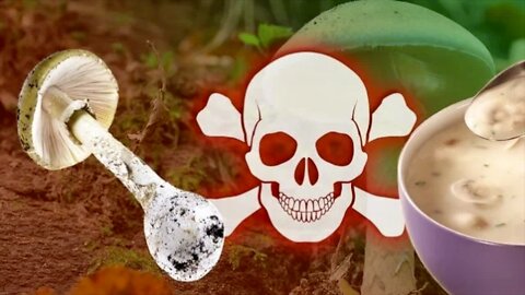 World's Deadliest Mushroom - "The Death Cap" ...How To Avoid It.