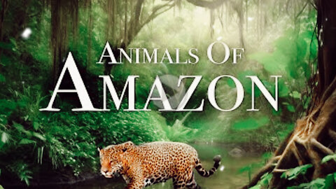 Animals of Amazon 4K - Animals That Call The Jungle Home | Amazon Rainforest