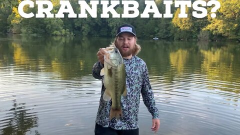 Could We've Caught More Big Bass On The Crankbait???!!!