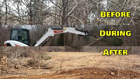 BEFORE, DURING & AFTER. Land clearing expanding Illinois food plots with Bobcat e42 Mini ex