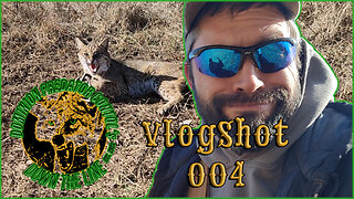 Cat Catch | DPC's Down the Line VlogShot 004