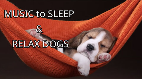 💤🐶 MUSIC to SLEEP / RELAX DOGS in 5 MINUTES | IT WORKS