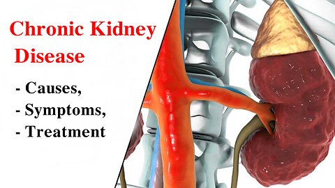 Chronic Kidney Disease: Causes, Symptoms, And Treatment