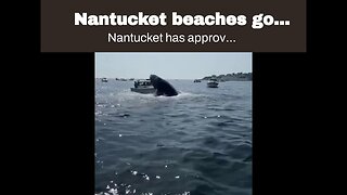 Nantucket beaches go topless…