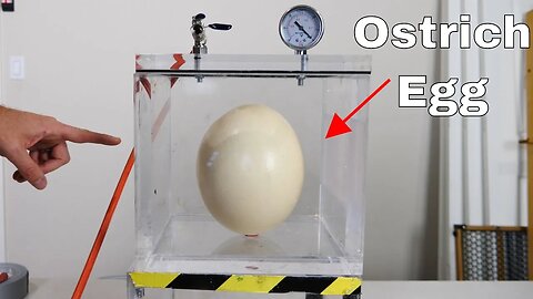 Putting a Giant Ostrich Egg in a Vacuum Chamber