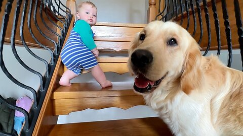 Adorable Baby Boy Learns To Climb The Stairs! Time For A Baby Gate!! (Cutest Ever!!)