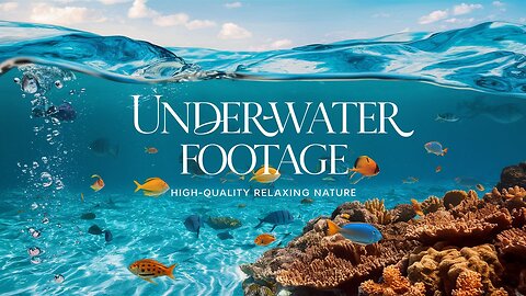 Underwater Footage with Relaxing Nature Music | Enjoy Watching Vibrant Sea Life and Relaxing