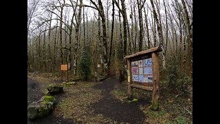 BLOOM LAKE HIKE (Hiked on Monday February 20th, 2023)