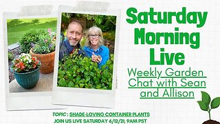 ☕ Saturday Morning LIVE Garden Chat - Shade Loving Container Plants ☕