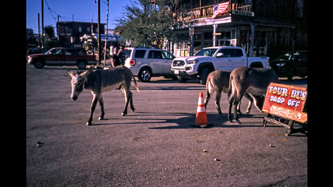 This Is Oatman, Az: Busiest Ghost Town In The West!"