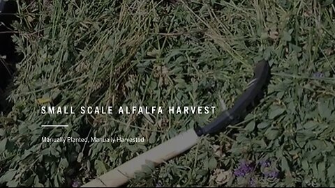 Small Scale Alfalfa Harvest