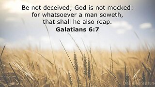 Galatians 6