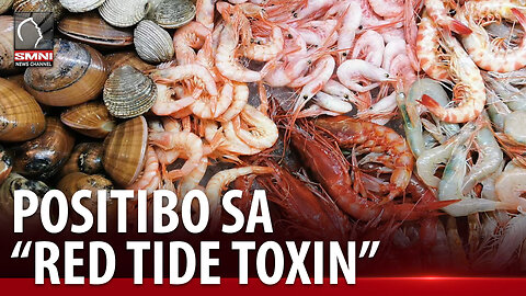 8 baybayin sa bansa, positibo sa “red tide toxin”; Publiko, pinag-iingat