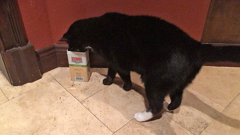 Cat demands more catnip, proceeds to roll around in it