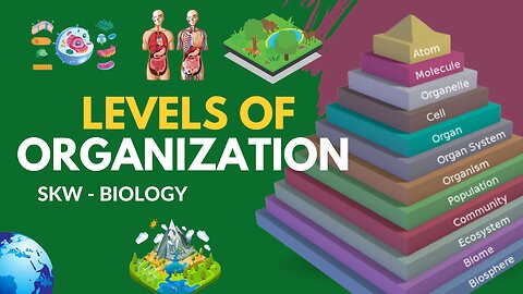 Levels of organization - Atom, Cells, Tissue, Organ, Organ System, Individual | Biology | SKW