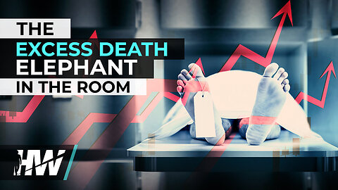 THE EXCESS DEATH ELEPHANT IN THE ROOM | The HighWire