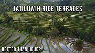 Bali's BIGGEST Rice Terraces | Jatiluwih UNESCO World Heritage Site