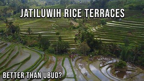 Bali's BIGGEST Rice Terraces | Jatiluwih UNESCO World Heritage Site