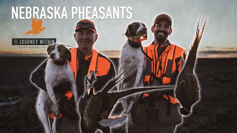 Nebraska Pheasants: The Journey Within - A Bird Hunter's Diary | Mark Peterson Hunting