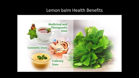 Lemon Balm Benefits