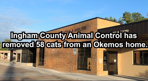 Ingham County Animal Control has removed 58 cats from an Okemos home.