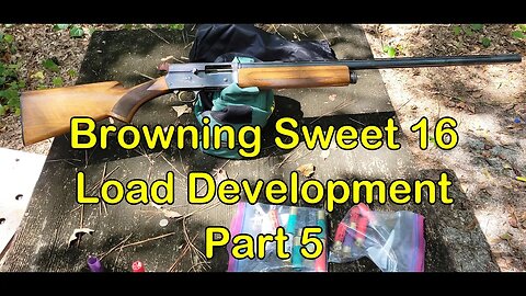 16 Gauge Buckshot Range Tests Part 5! Browning Sweet 16.