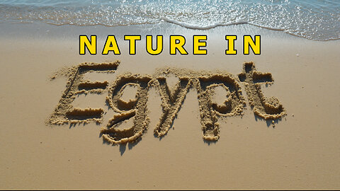 Nature in Egypt: Stunning Natural Landscapes to visit - Go Travel