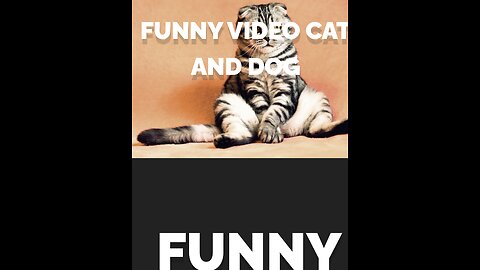 1. "Pawsitively Hilarious: Watch These Cats and Dogs Take Comedy to a Whole New Level