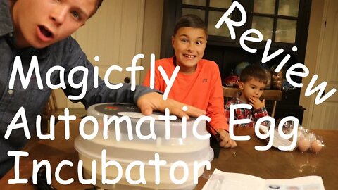 Magicfly Automatic Egg Incubator Review!!!