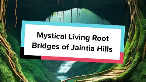 Mystical Living Root Bridges of Jaintia Hills