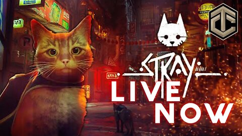 🔴 LIVE - Stray Playthrough