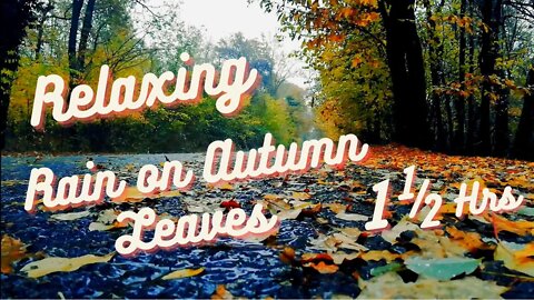 Relaxing Rain on Autumn Leaves | Chill, Study & Sleep