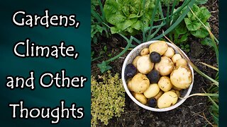 Garden Thoughts, Tips, and More