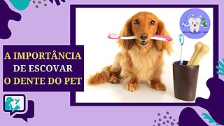 A Importância da Saúde Bucal para Animais de Estimação