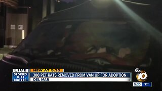 Del Mar neighbors come to aid of woman living in car with pets