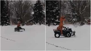 Dinosaurs know how to play in the snow too!