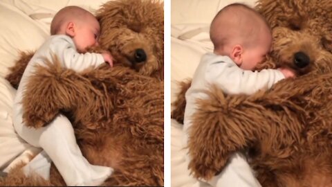 Adorable pup shows love to owner's child with cuddles|| #Dog& Puppy