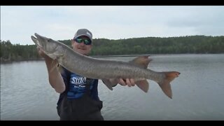 Catching 6 Species in One Day in Northwestern Ontario