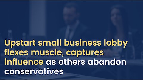 Upstart small business lobby flexes muscle, captures influence