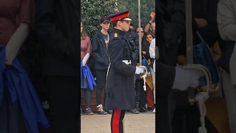 BY THE RIGHT RETURN SWORDS CAPTAIN OF THE KINGS LIFE GUARD #horseguardsparade