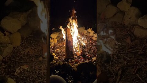 Cozy Campfire Crackles: ASMR Wood Burning by the Fire #soundeffects #nocopyright #contentcreation