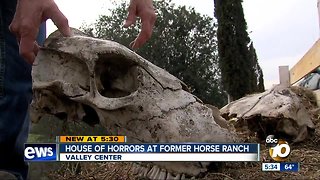 House of horrors at former Valley Center horse ranch